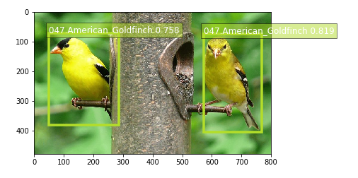 Sample results detecting a pair of goldfinch on a feeder